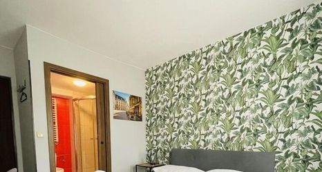 其他 2 Boogie Deluxe Old Town