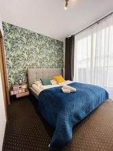 其他 4 Boogie Deluxe Old Town