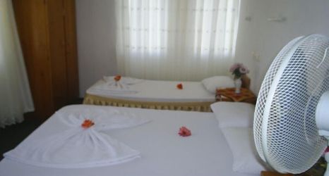 Others 2 Ani Pension