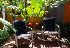 Others 5 Pink Flamingo Resort