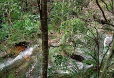 Others 2 Mt Warning Rainforest Retreat
