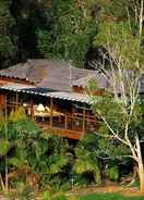 Primary image Mt Warning Rainforest Retreat