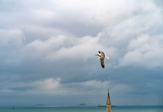 기타 3 Miss Royal Hotel & SPA