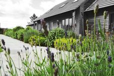 其他 Elm Tree Farm Accommodation