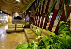 其他 5 Krystal Hotel