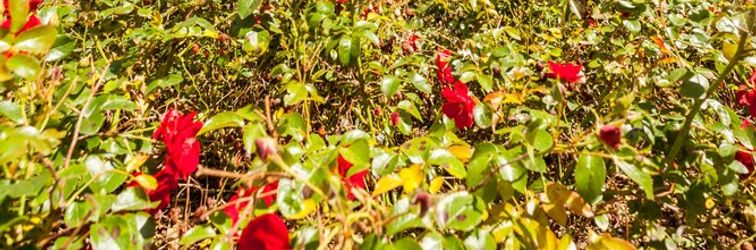 기타 Malecot Hotel by F-Hotels