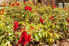 기타 Malecot Hotel by F-Hotels