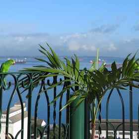 Primary image1多皮拉爾旅館,皮拉雅飯店