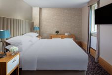 その他 The Scholar