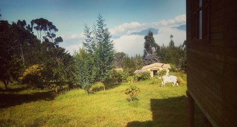 Others 2 Cabaña Agrreste Bed & Breakfast