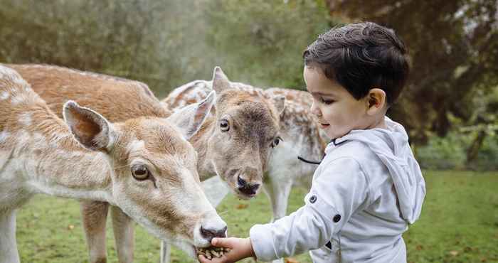 อื่นๆ Vakantiepark Dierenbos