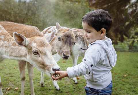 Others Vakantiepark Dierenbos