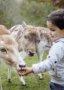 Imej utama Vakantiepark Dierenbos