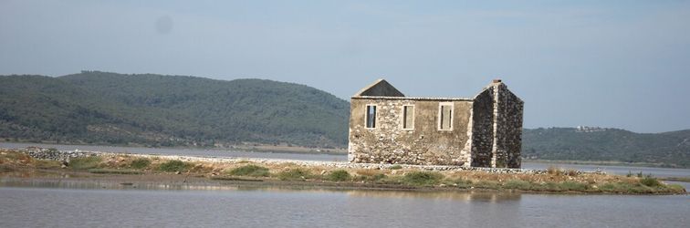Others Green House Boğaziçi – Dodo House