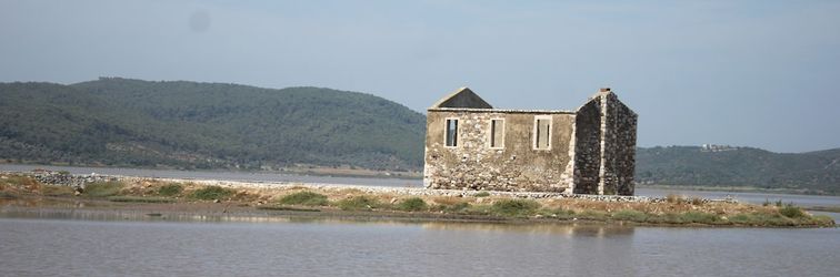 อื่นๆ Green House Boğaziçi – Dodo House