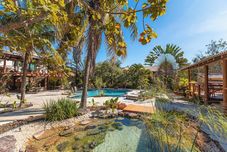 その他 Pousada Flores do Cerrado