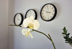 อื่นๆ 4 Modern Life Bodrum Otel