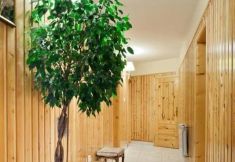 Lain-lain 2 Smyrecek