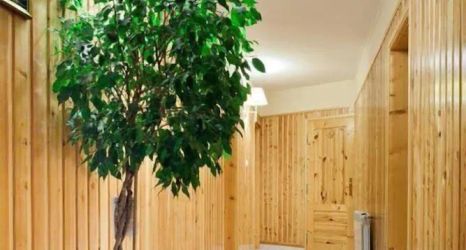 Lain-lain 2 Smyrecek