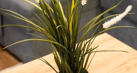 Others 2 Old Town Market Place Penthouse