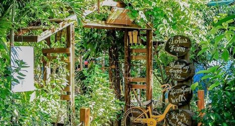 その他 2 Hue Lotus Homestay