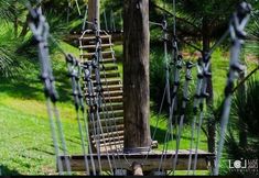 其他 7 Ecoresort Chales San Thomaz