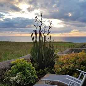 Primary image1The Tack Room,Pistyll飯店