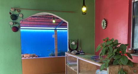 其他 2 Pousada Nossa Casa Cama & Café