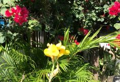 Others 6 Pousada Millenium