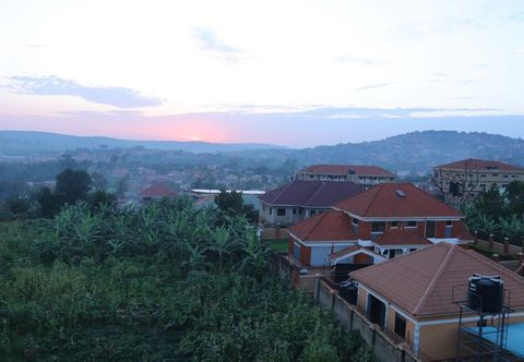 기타 The Shoebill Nest
