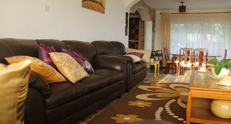 기타 2 The Shoebill Nest