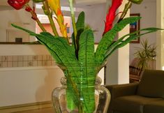 其他 3 Hotel Terra do Sol