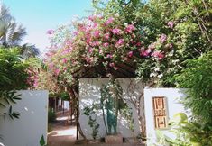 その他 2 Eureka Villas Siem Reap