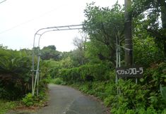 Others 5 Pension Flora