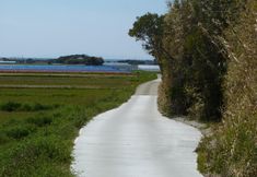 Others 3 Pension Flora