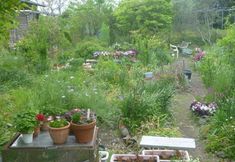 Others 6 Pension Flora