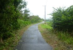 Others 4 Pension Flora