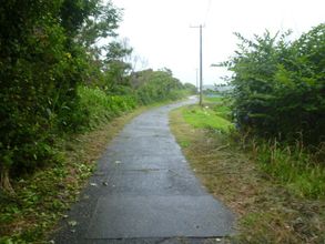 Others 4 Pension Flora