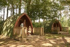 其他 Pinewood Camping Pods - At Port Lympne Reserve