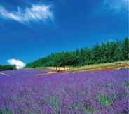 Others 3 LA VISTA Furano Hills Hot Springs