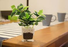 Others 3 Shirakabanoyado-Akinai