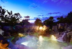 기타 6 Ooedo Onsen Monogatari Premium Hotel Sokan