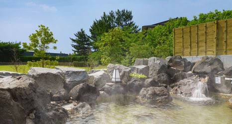 기타 2 Ooedo Onsen Monogatari Premium Hotel Sokan