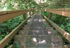 其他 4 44MBR - Hot Tub- Pets Ok - WiFi - BBQ - Sleeps 6