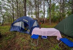 其他 6 Camping de Los Peroles