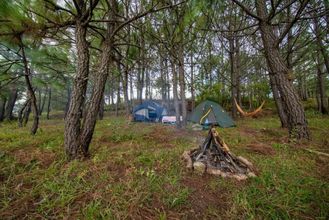 其他 4 Camping de Los Peroles