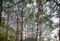 其他 7 Camping de Los Peroles