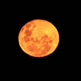 Reception1Vila do Mel,蓬塔尔-杜巴拉那飯店