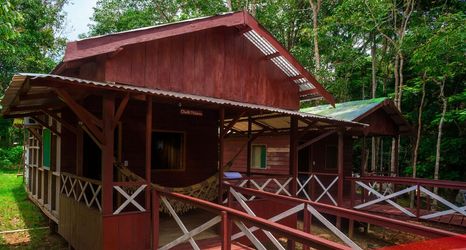 其他 2 Vista do Lago Jungle Lodge