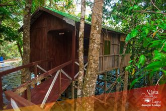 其他 4 Vista do Lago Jungle Lodge